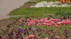 В мае жителей России ждут 19 рабочих и 12 выходных дней