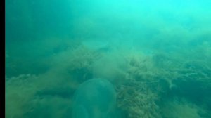 погружение