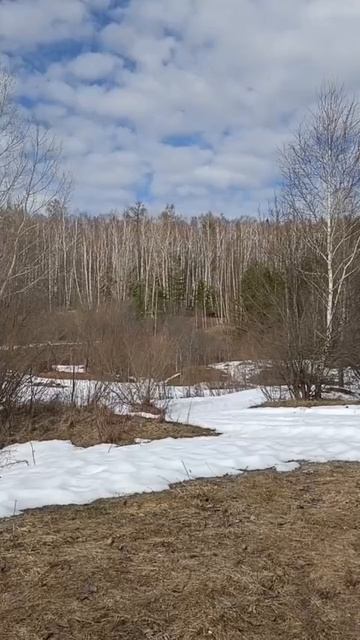 Ледоход на реке Вятке. 04.04.2026 года. Продолжение. Видеоролик 3.
