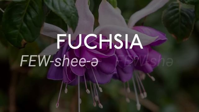 ОТКУДА В АНГЛИЙСКОМ СТОЛЬКО КОСЯКОВ - и как понять исключения