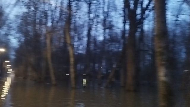 на байдарке по Лесопарку