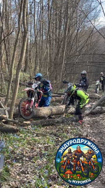 Через бревно толпой