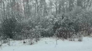 Мы уже дома 10.04.26.