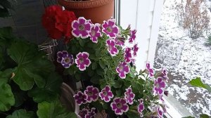 на Урале снова зима