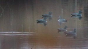 1. На охоту с песней