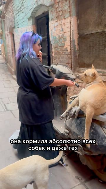 400 собак у Наташи. О как!