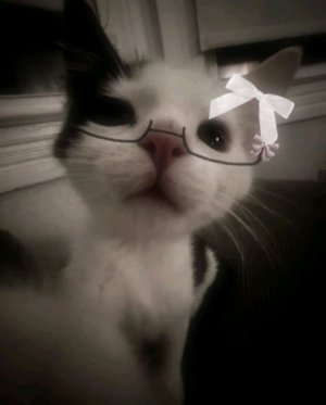 делаем инглиш