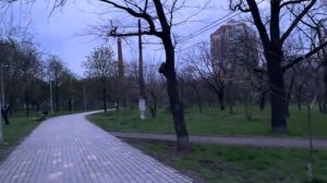 ОДЕССА 10 АПРЕЛЯ 2026. БРИТАНЦЫ ДАЮТ РАСПОРЯЖЕНИЯ ЗЕЛЕНСКОМУ ПАКИСТАН ОБЕРЕГАЕТ ДЕЛЕГАЦИЮ ИРАНА!