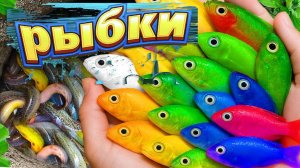 Мультики для детей про речных обитателей. Ловим и рассматриваем ярких рыбок. Мультики малышам