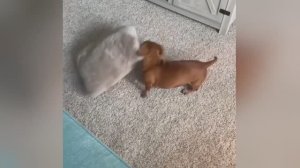 Подборка приколов. Поржать от души