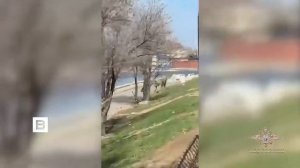 ‼️🇷🇺⚡ФСБ задержала ещё троих участников банд Шамиля Басаева* и Хаттаба*