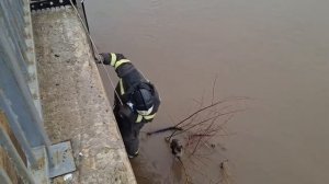 Балтачта тозакка эләккән песине коткардылар