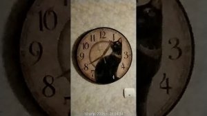 Улица Кубинка 22/2 Звук удара от соседей два года 19.50 10.04.2026