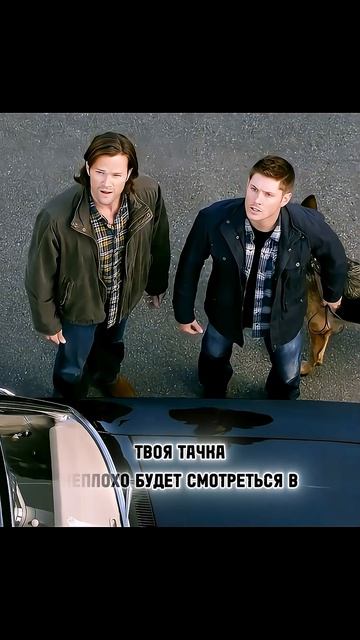 Дин стал понимать животных  Название: Сверхъестественное  #Shorts #фильм #кино