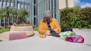 Пиза Ужасный отель, саркофаги римлян, Пизанская башня падает! Кладбище Кампо-Санто