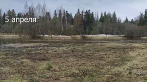 Природа, погода, участок, рассада в начале апреля.