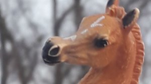 Канзас и Мира)//лошади//Снежновейная