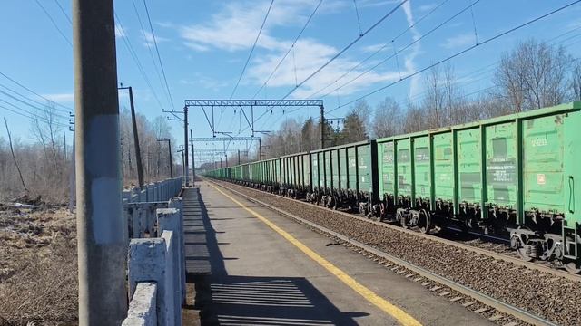 Дончаки, Синары и Малахит на Волховстройская направление Перегон Мга - Назия Октябрьская жд