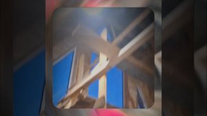 1000055621.mp4 (Собака наблюдает за устройством лестницы на 2-ой этаж в доме А-фрейм)