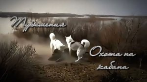 Туркмения. Охота на кабана в Моллакурбане. ИИ