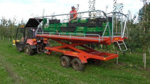 Платформа садовая DS-P1 (Ditta-Seria)