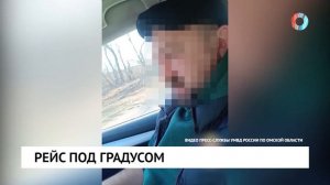 Пьяный газелист