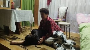 Шапкино Идел-йорт 4