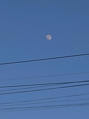 Рисуем с Хади.Раскрашиваем макаронцы❤️