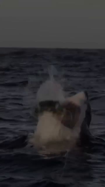 Момент, знакомый каждому мужчине.