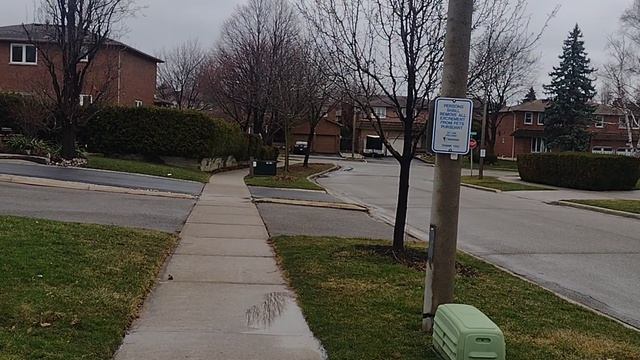 Выгодный для Запада режим. Трамп делает Иран ... великим?