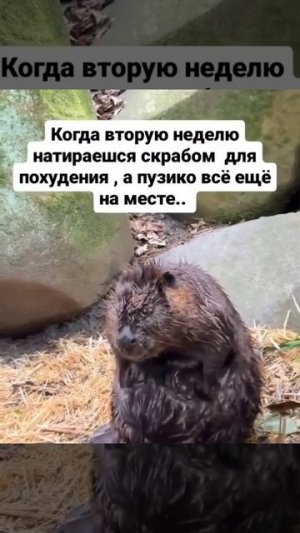 Подписываемся 😉