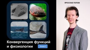 Ярослав Попов. Цикл лекций «Конвергенция». Эпизод-3. Тизер
