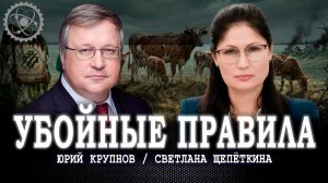 Ветеринарный вакуум, или Почему в России животных убивают, а не лечат | Крупнов | Щепёткина