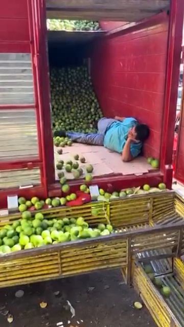 Вот она! Работа... не бей лежачего! #работа #труд #работяга #рабочий #трудовыебудни #рабочаянеделя