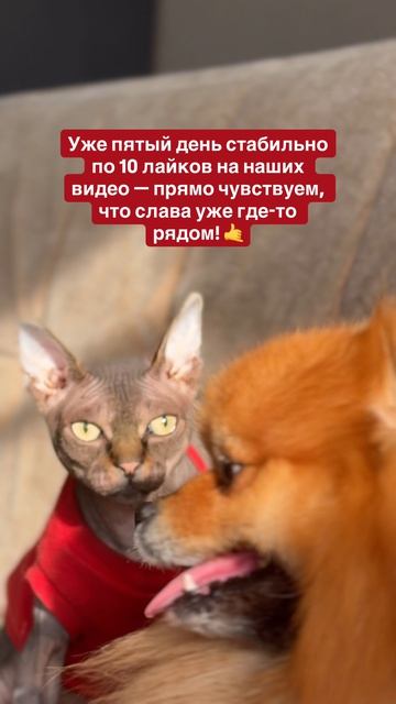 Очень боимся зазнаться 🤭
