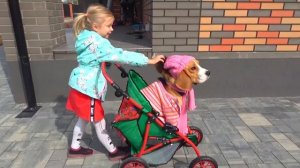 СОФУНЬЯ ШАЛУНЬЯ - СОФИЯ УЧИТ ИГРАТЬ СВОЕГО ЩЕНКА.