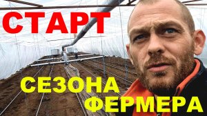 Подготовили отапливаемую теплицу. Сеем разноцветную капусту, жёлтый томат, зелень.