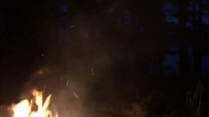 Возле костра #Twilightmusicproject #music #ambient #waldorfblofeld