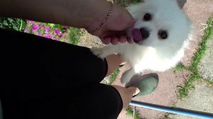 Влог от 19.07.2022