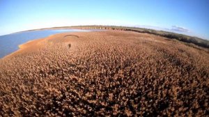 полёт на мотопараплане.