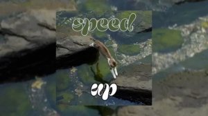 рандомные песни с тик-ток ( speed up )