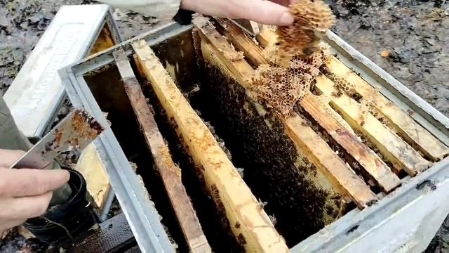 10 апреля  ПЕРВЫЙ ОСМОТР дальнего точка Подмосковье