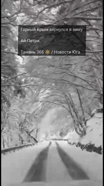 Горный Крым вернулся в зиму. Ай-Петри / Тамань 365 / Новости Юга