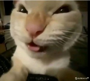 играю в Майнкрафт на сервере mc.slonn.fun