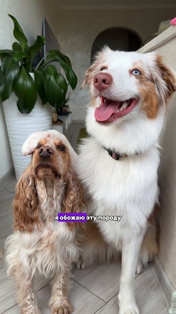 Хорошие друзья?🩷💞