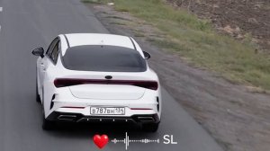 Тото - Последний герой