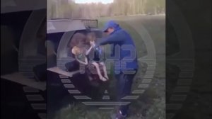 Видео от МЭН - Мне Это Нравится