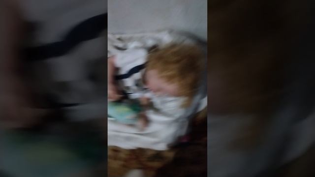 ночной влог с реборном Лиамом