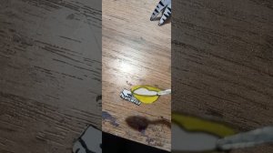 празднуем 630 пдп 🥳. делаем  торт для собак?!