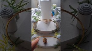 Макет Города Солнца МаЭД в универсалиях законов. Творчество семьи В+Л Скопич Оренбург,ГБ Сальватерра